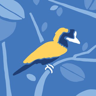 Punahnya Burung-Burung Indonesia
