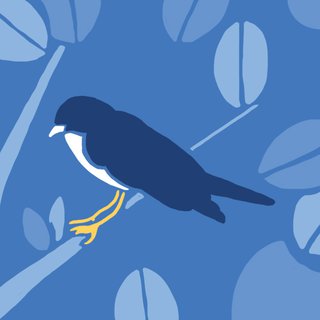 Punahnya Burung-Burung Indonesia
