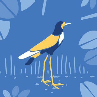 Punahnya Burung-Burung Indonesia